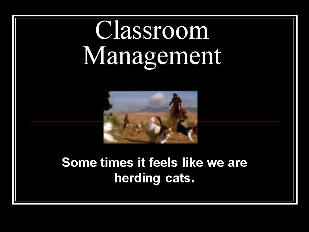 Classroom Management Some times it feels like we are herding cats.